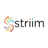 Striim Logo
